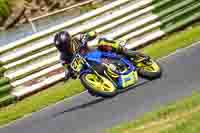 enduro-digital-images;event-digital-images;eventdigitalimages;mallory-park;mallory-park-photographs;mallory-park-trackday;mallory-park-trackday-photographs;no-limits-trackdays;peter-wileman-photography;racing-digital-images;trackday-digital-images;trackday-photos